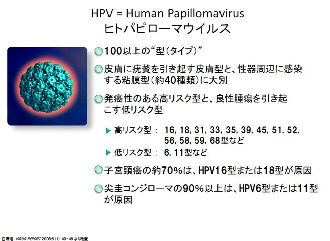 ヒトパピローマ ウイルス