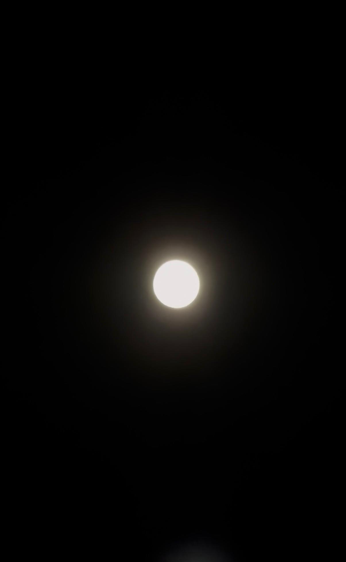 IMG_5599.jpeg
